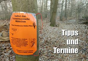 In Münster-Kinderhaus regt sich Protest gegen die Zerstörung des Zimmermannschen Wäldchens. (Foto: Johannes Bruders)