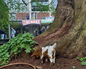 (Foto: Fridays for Future Münster)